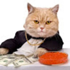 Meet your Posher, Faith